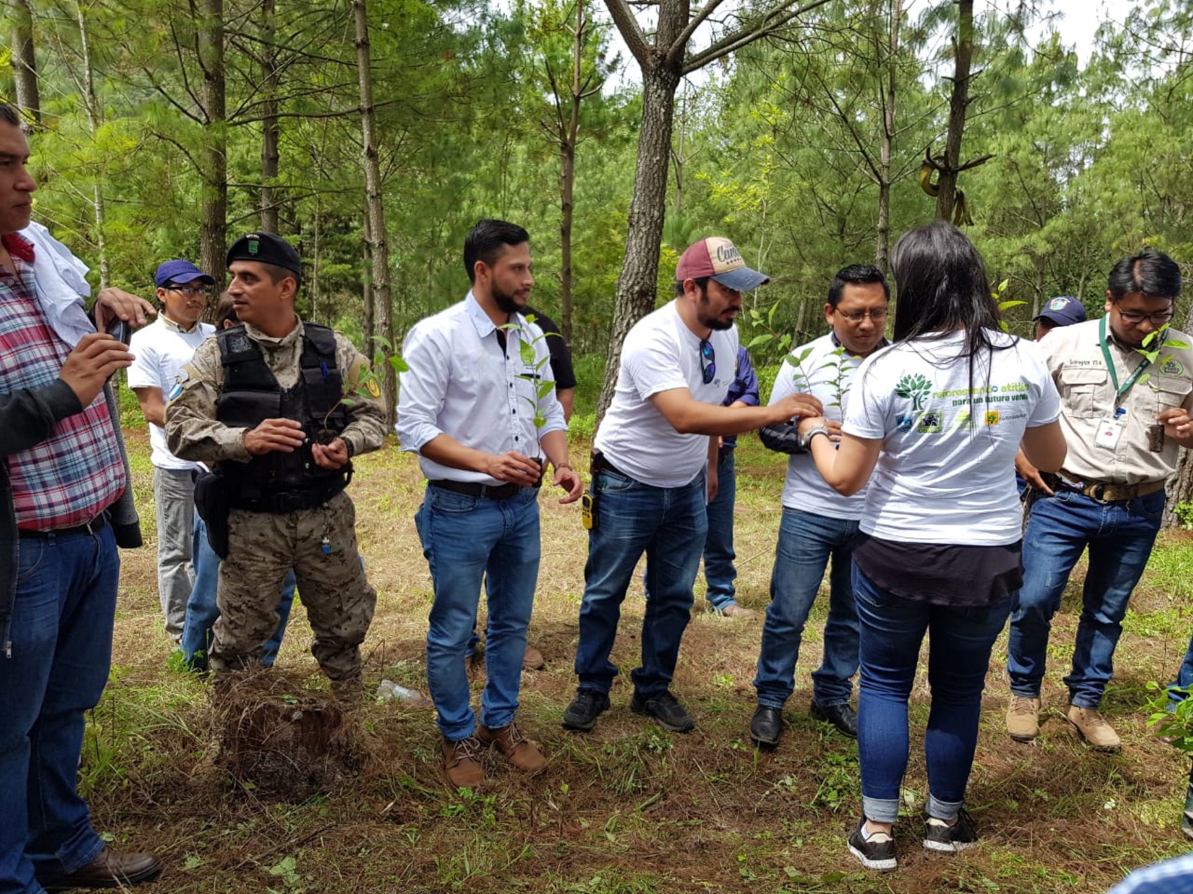 Estudios hidrogeológicos · forestales · dictámenes técnicos